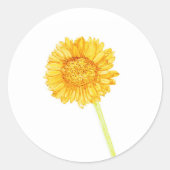Gerbera daisy Sticker (Vorderseite)