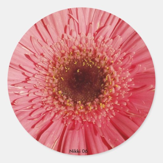 Gerbera Daisy Sticker (Vorderseite)
