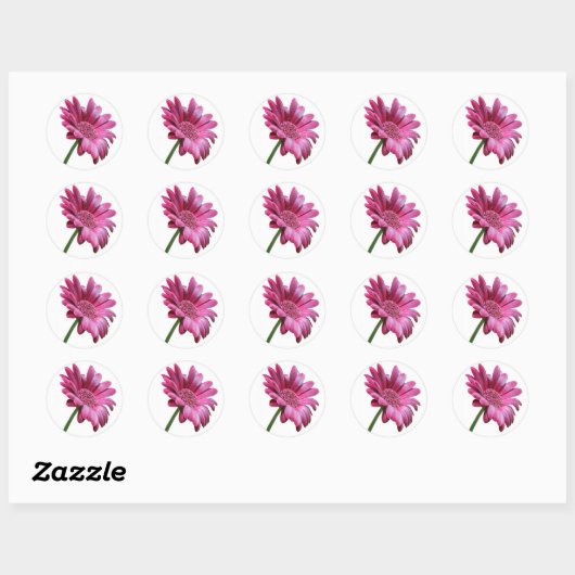 Gerbera Daisy Sticker (Blatt)