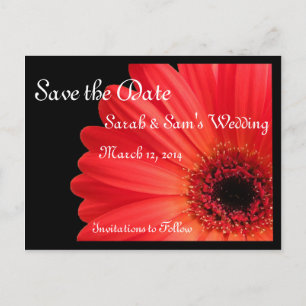 Gerbera Daisy Theme Save the Date Ankündigungspostkarte