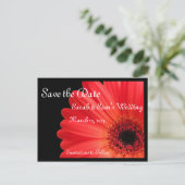 Gerbera Daisy Theme Save the Date Ankündigungspostkarte (Stehend Vorderseite)