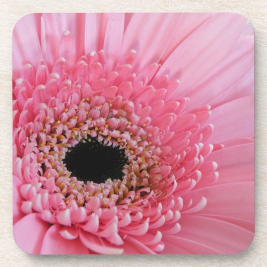 Gerbera Daisy Untersetzer (Vorderseite)