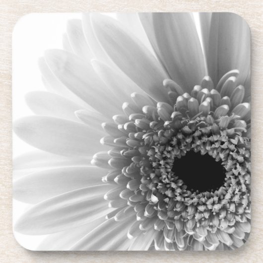 Gerbera Daisy Untersetzer (Vorderseite)