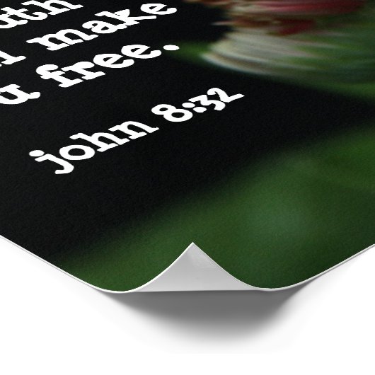 Gerbera Daisy w/ Scripture Verse (John 8:32) Poster (Ecke)