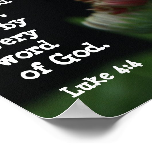 Gerbera Daisy w/ Scripture Verse (Luke 4:4) Poster (Ecke)