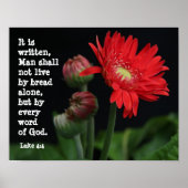 Gerbera Daisy w/ Scripture Verse (Luke 4:4) Poster (Vorne)