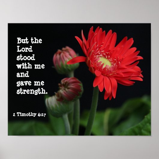 Gerbera Daisy w/ Scripture Verse (Timothy 4:17) Poster (Vorne)