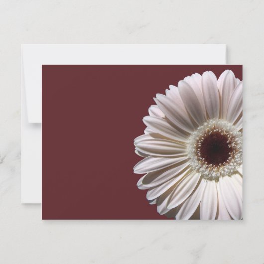 Gerbera Daisy Wedding/ Response RSVP Karte (Rückseite)