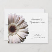 Gerbera Daisy Wedding/ Response RSVP Karte (Vorderseite)