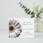 Gerbera Daisy Wedding/ Response RSVP Karte (Stehend Vorderseite)