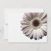 Gerbera Daisy Wedding/ Response RSVP Karte (Rückseite)