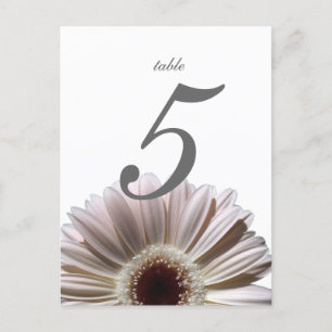 Gerbera Daisy/ Wedding Table Card Postkarte