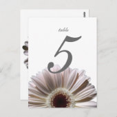 Gerbera Daisy/ Wedding Table Card Postkarte (Vorne/Hinten)