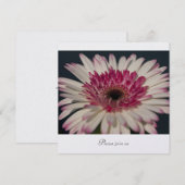 Gerbera Einladung (Vorne/Hinten)
