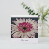 Gerbera Einladung (Stehend Vorderseite)
