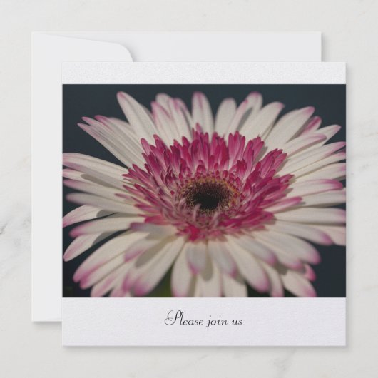 Gerbera Einladung (Vorderseite)