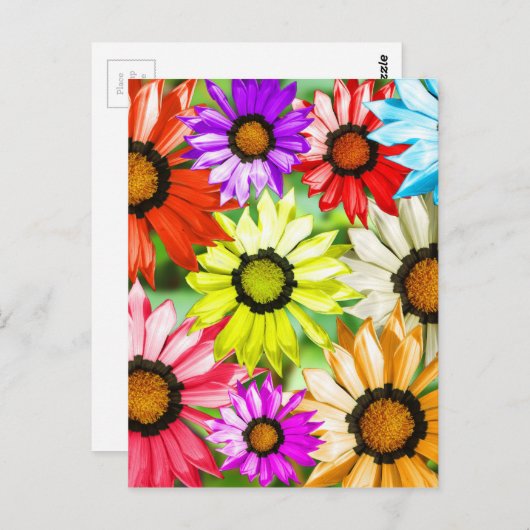 Gerbera farbenfrohe Blume Postkarte (Vorne/Hinten)