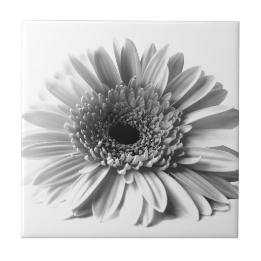 Gerbera Fliese (Vorderseite)