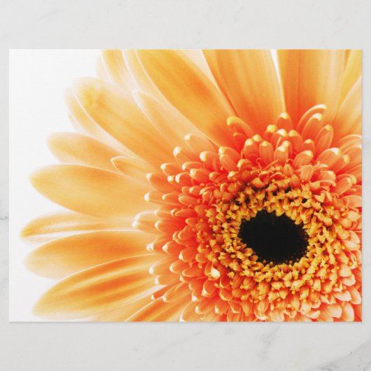 Gerbera Flyer (Vorne)