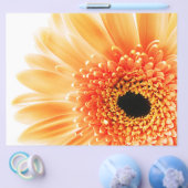 Gerbera Flyer (Einzeln)