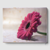 Gerbera Funeral Gedenkbuch Gästebuch (Rückseite)