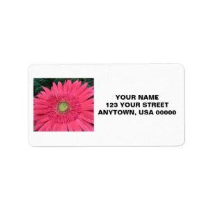Gerbera-Gänseblümchen Adressaufkleber
