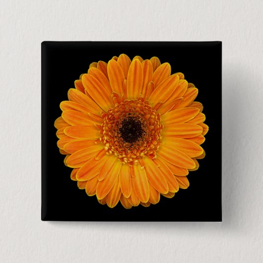 Gerbera-Gänseblümchen Button (Vorderseite)