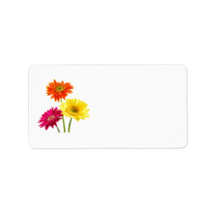 Gerbera-Gänseblümchen-Freude Adressaufkleber