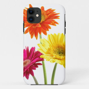 Gerbera-Gänseblümchen-Freude Case-Mate iPhone Hülle