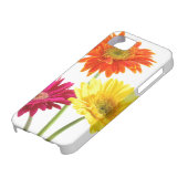 Gerbera-Gänseblümchen-Freude Case-Mate iPhone Hülle (unten)