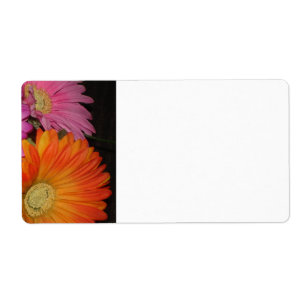 Gerbera-Gänseblümchen-Garten