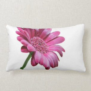 Gerbera-Gänseblümchen-Kissen Lendenkissen