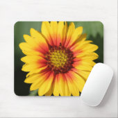Gerbera-Gänseblümchen-Mausunterlage Mousepad (Mit Mouse)