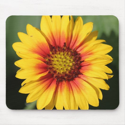 Gerbera-Gänseblümchen-Mausunterlage Mousepad (Vorne)