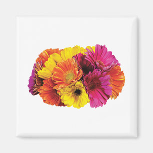Gerbera-Gänseblümchen-Mischfarben Magnet