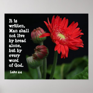 Gerbera-Gänseblümchen mit Schrifts-Vers (Luke 4: Poster