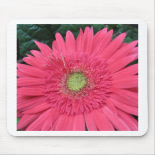 Gerbera-Gänseblümchen Mousepad