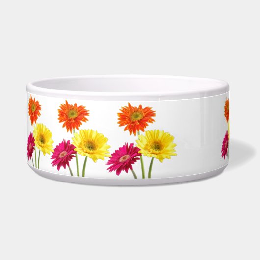 Gerbera-Gänseblümchen Napf (Links)