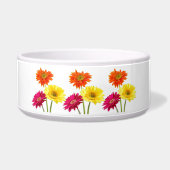 Gerbera-Gänseblümchen Napf (Vorderseite)