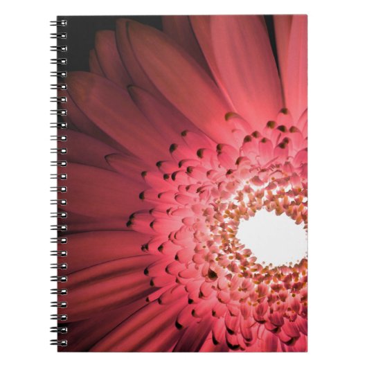 Gerbera Gänseblümchen Notizblock (Vorderseite)