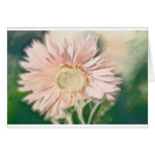 Gerbera-Gänseblümchen-Pastell
