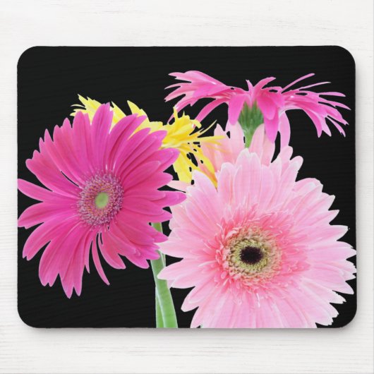 Gerbera-Gänseblümchen Piink Blumen Mousepad (Vorne)