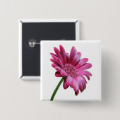 Gerbera-Gänseblümchen-Quadrat-Button Button (Vorne & Hinten)