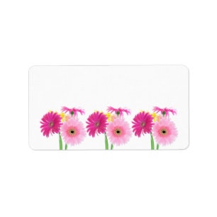 Gerbera-Gänseblümchen-Rosa-Blumen Adressaufkleber