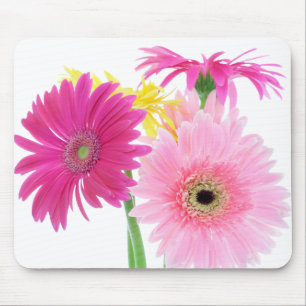 Gerbera-Gänseblümchen-Rosa-Blumen Mousepad