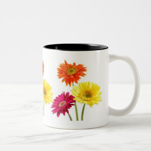 Gerbera-Gänseblümchen Zweifarbige Tasse (Rechts)