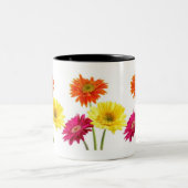 Gerbera-Gänseblümchen Zweifarbige Tasse (Mittel)
