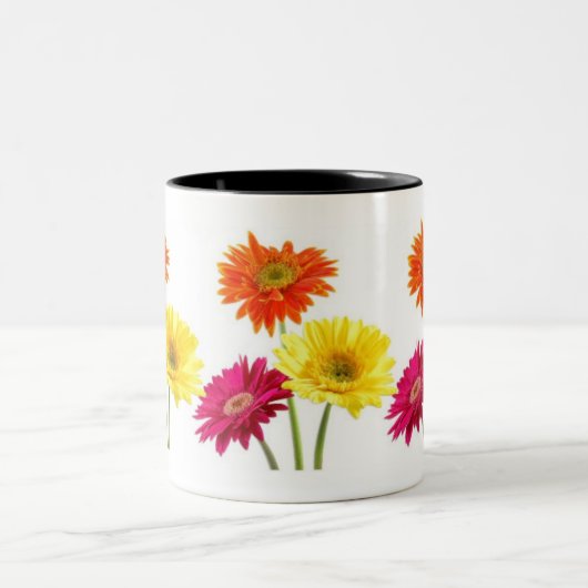 Gerbera-Gänseblümchen Zweifarbige Tasse (Mittel)