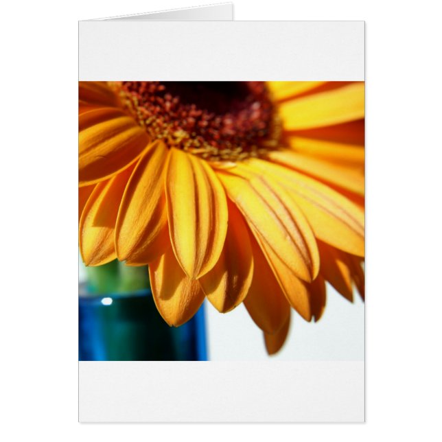 Gerbera in Blue Vase (Vorne)