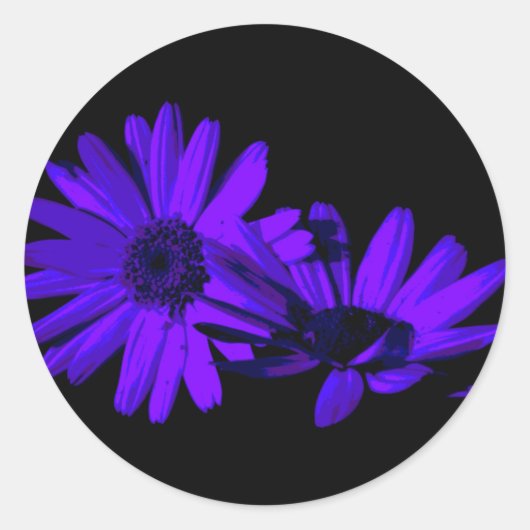 Gerbera in Nacht 1 Runder Aufkleber (Vorderseite)